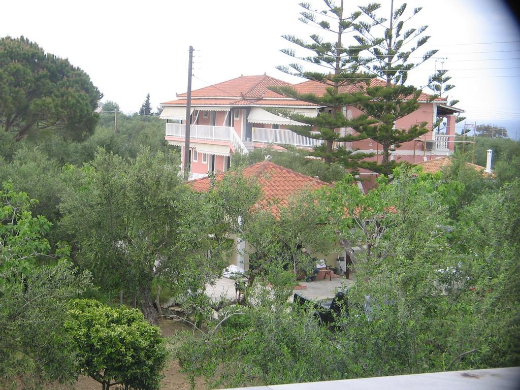Dimaras Apartments Vasilikí Rum bild