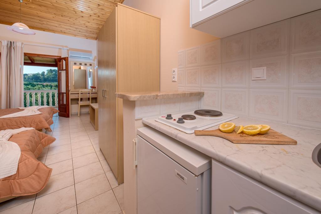 Dimaras Apartments Vasilikí Rum bild